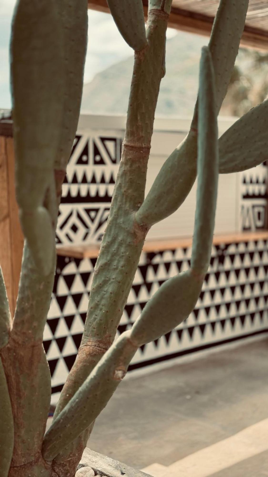 La Casa Di Lusso N4 - Adults Only Βίλα Κολύμπια Εξωτερικό φωτογραφία
