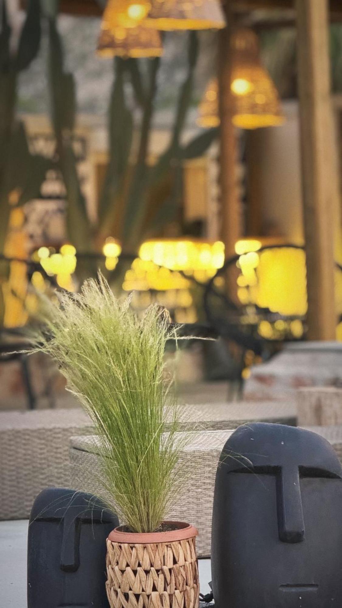La Casa Di Lusso N4 - Adults Only Βίλα Κολύμπια Εξωτερικό φωτογραφία